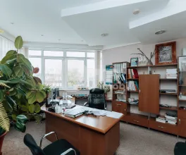 Офис, Ботаника, БУРЕБИСТА