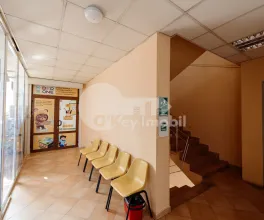 Oficiu, Botanica, DECEBAL