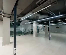 Oficiu, Centru, ALEXANDR PUȘKIN