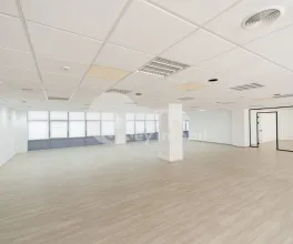 Oficiu, Centru, ȘTEFAN CEL MARE