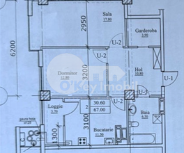 Apartament, Botanica, GRĂDINA BOTANICĂ