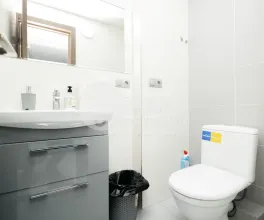 Oficiu, Centru, GRIGORE VIERU