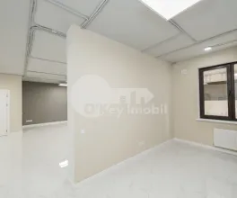 Oficiu, Centru, ALEXANDRU CEL BUN