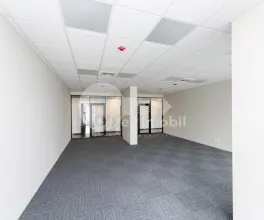 Офис, Центр, МИХАЙ ВИТЯЗУЛ