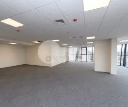 Офис, Центр, МИХАЙ ВИТЯЗУЛ