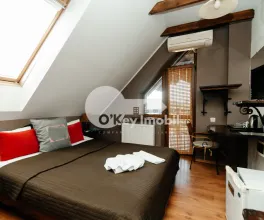 Casă, Centru, VASILE ALECSANDRI