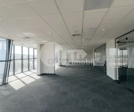 Oficiu, Centru, MIHAI VITEAZUL