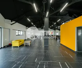 Комм. помещение,  Центр, ТЕСТЕМИЦАНУ