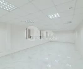 Spațiu comercial, Botanica, NIKOLAI ZELINSKI