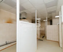 Spațiu comercial, Buiucani, ALBA IULIA