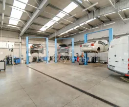 Afacere activă, BOTANICA