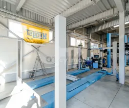 Afacere activă, BOTANICA