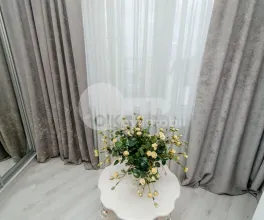 Квартира, Ботаника, ТУДОР СТРИШКЭ