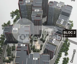 Apartament, Botanica, DIMINEȚII