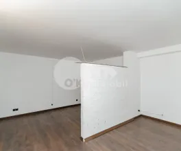 Офис, Центр, ЛЭПУШНЯНУ