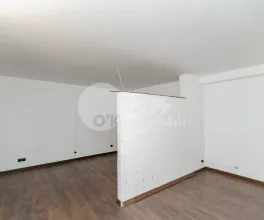 Oficiu, Centru, LĂPUȘNEANU