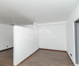 Oficiu, Centru, LĂPUȘNEANU