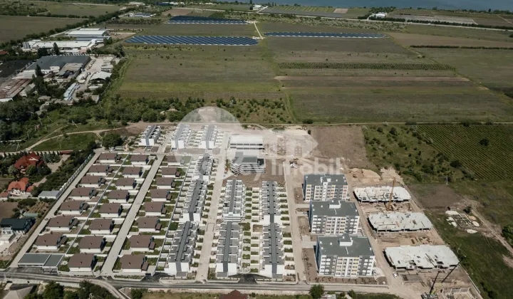 Квартира, КОЖУШНА