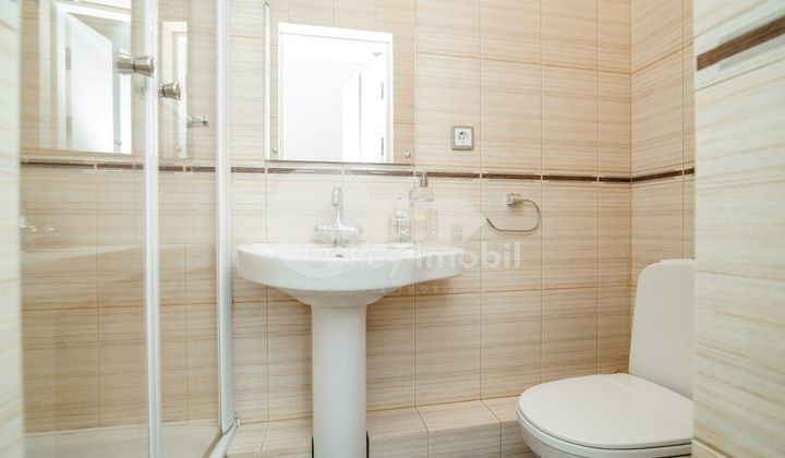 Квартира, Центр, МИХАЙ ЕМИНЕСКУ