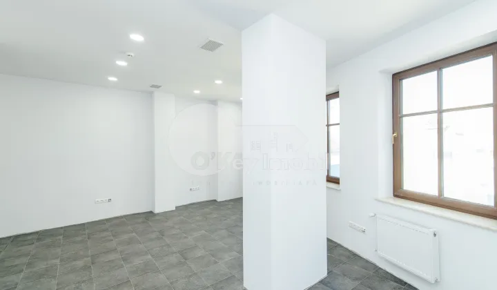 Oficiu, Centru, BOGDAN PETRICEICU HAȘDEU