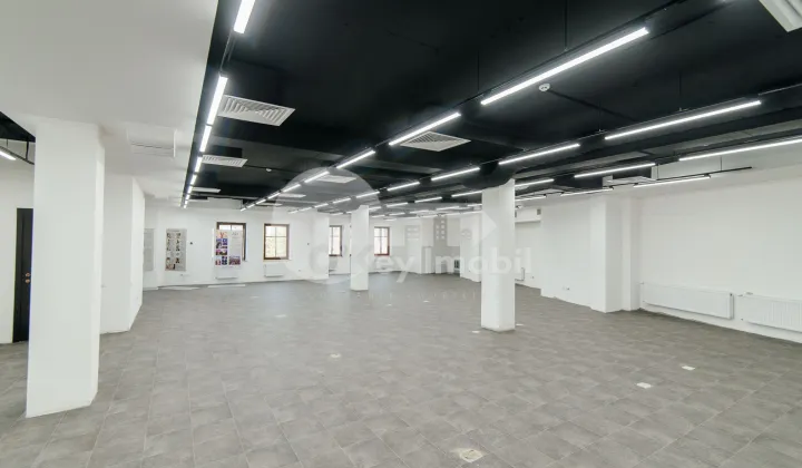 Oficiu, Centru, BOGDAN PETRICEICU HAȘDEU