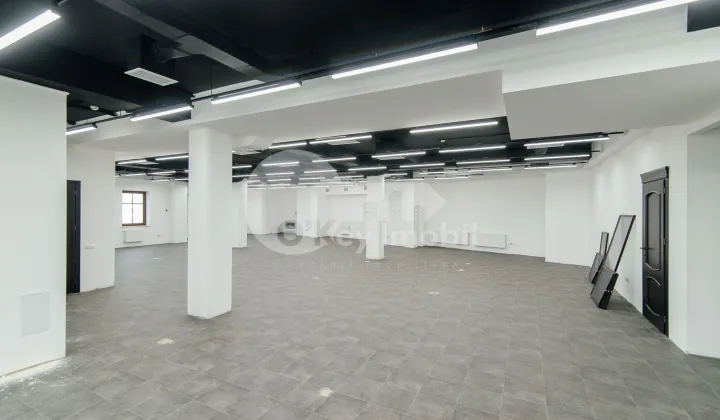 Oficiu, Centru, BOGDAN PETRICEICU HAȘDEU