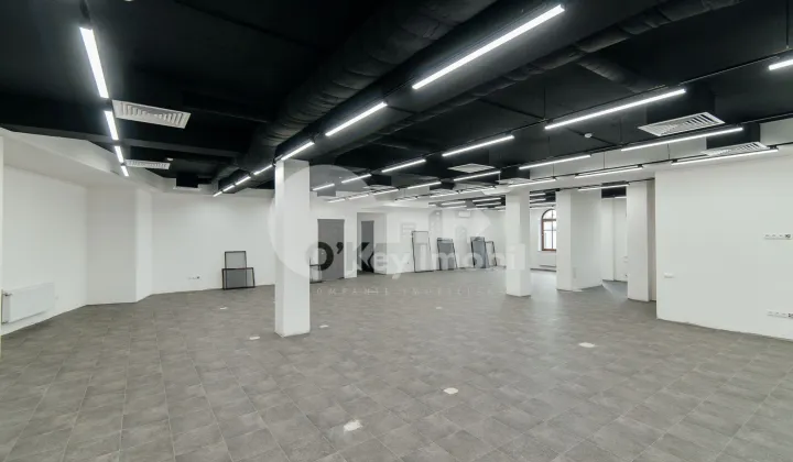 Oficiu, Centru, BOGDAN PETRICEICU HAȘDEU