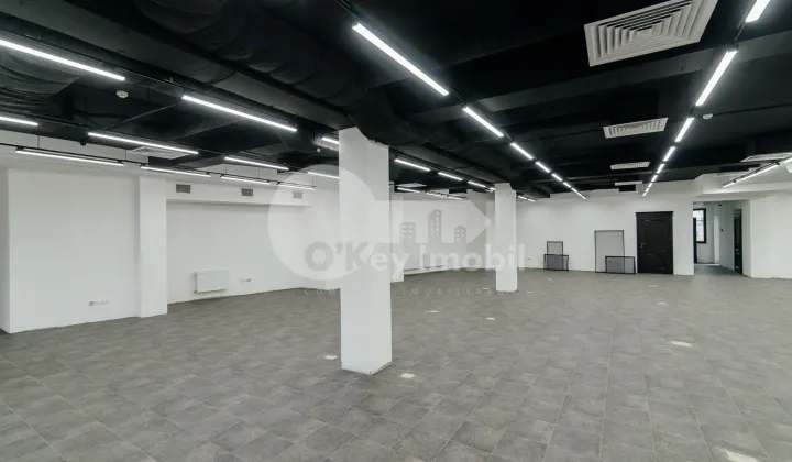 Oficiu, Centru, BOGDAN PETRICEICU HAȘDEU