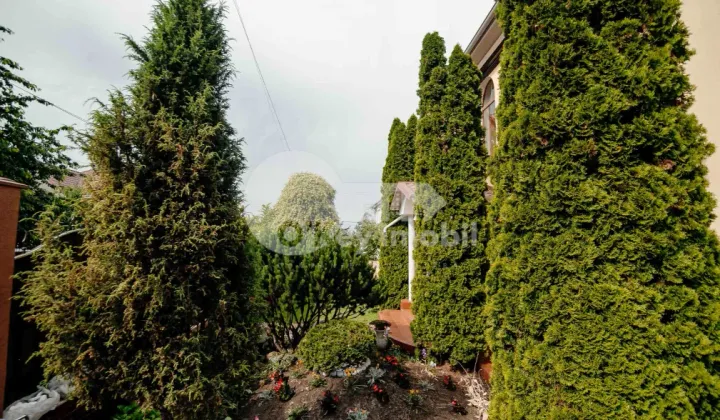 Casă, Râșcani, ZAMOLXE