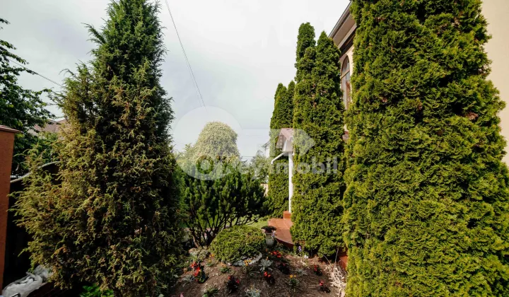 Дом, Рышкановка, ЗАМОЛХЕ