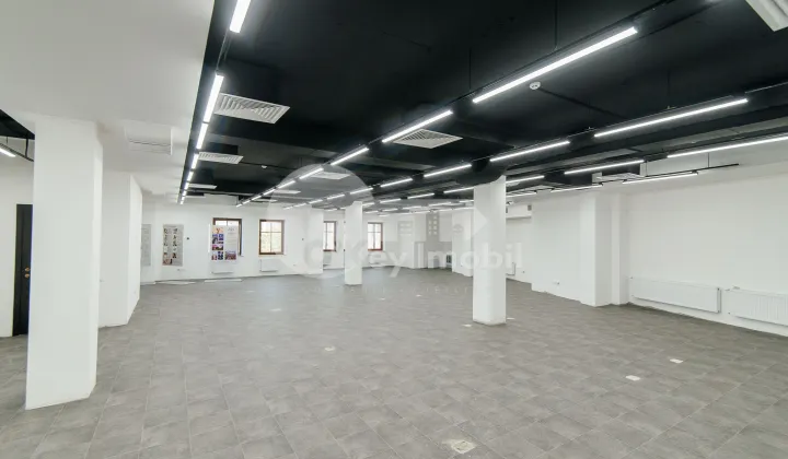 Oficiu, Centru, BOGDAN PETRICEICU HAȘDEU