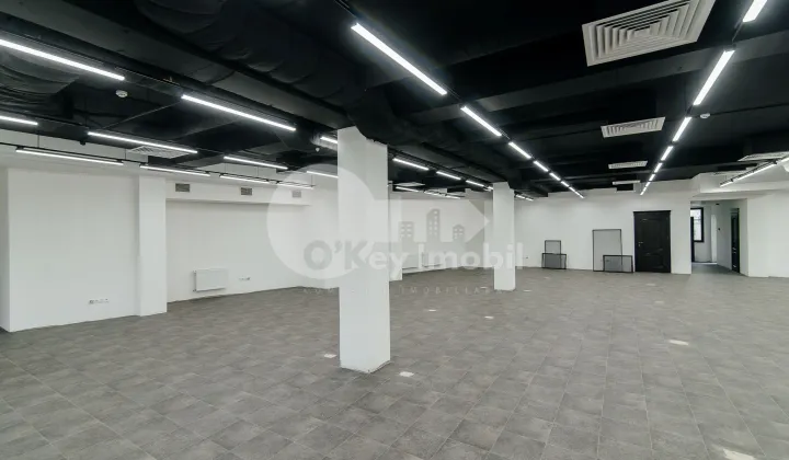 Oficiu, Centru, BOGDAN PETRICEICU HAȘDEU