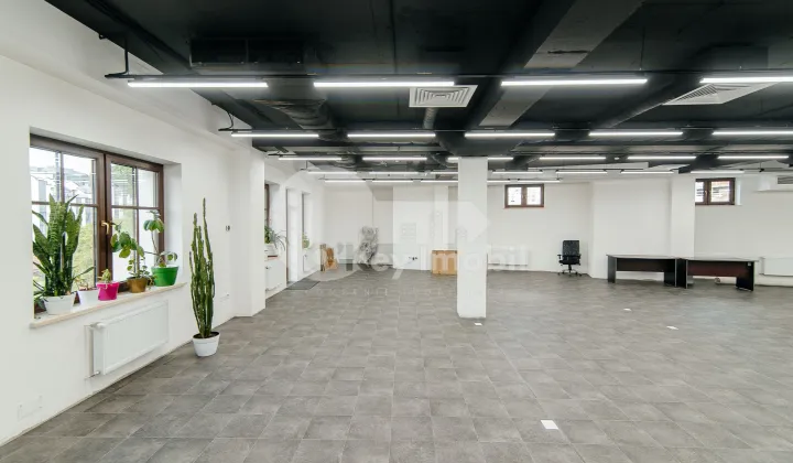 Oficiu, Centru, BOGDAN PETRICEICU HAȘDEU