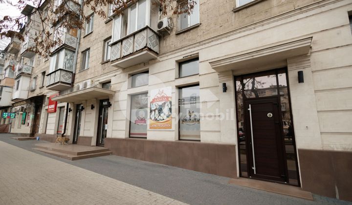 Офис, Центр, ГРИГОРЕ ВИЕРУ