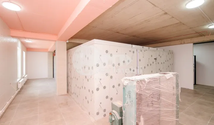 Пом. для производства, ОРХЕЙ