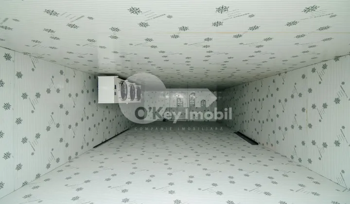 Пом. для производства, ОРХЕЙ