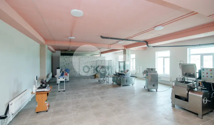 Пом. для производства, ОРХЕЙ