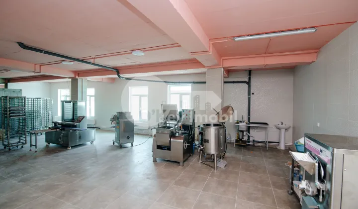 Пом. для производства, ОРХЕЙ