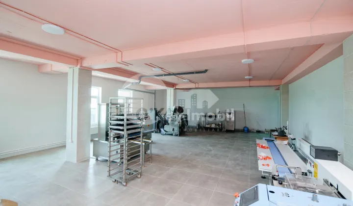 Пом. для производства, ОРХЕЙ