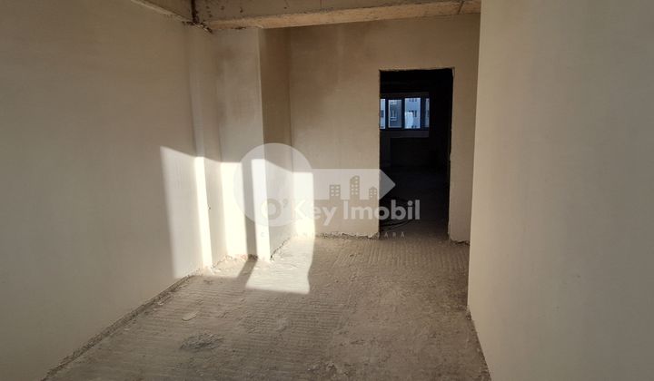 Квартира, Ботаника, САРМИЗЕДЖЕТУСА