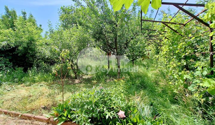 Квартира, Телецентр, ПОРУМБИЦЕЙ