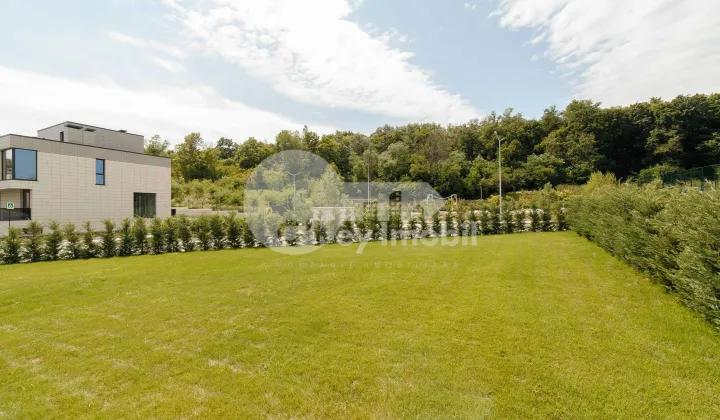 Дом, Ботаника, ПЭШУНИЛОР