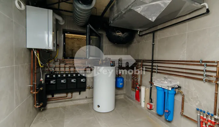 Дом, Ботаника, ПЭШУНИЛОР