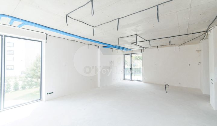 Casă, Botanica, PĂȘUNILOR