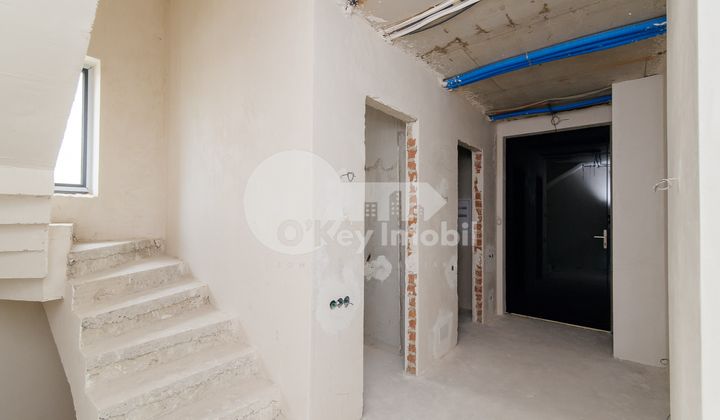 Casă, Botanica, PĂȘUNILOR