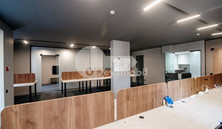 Офис, Рышкановка, Н. ДИМО