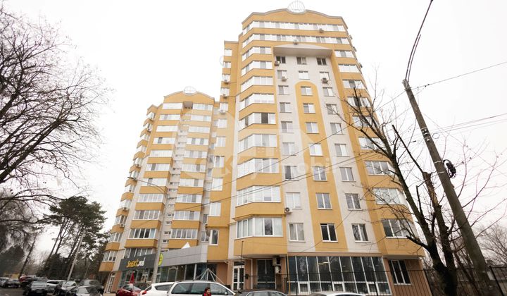 Офис, Рышкановка, Н. ДИМО