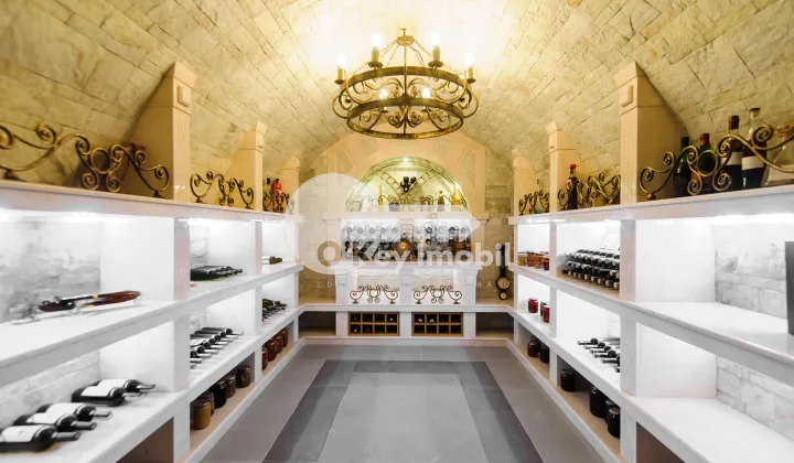 Casă, Telecentru, DRUMUL VIILOR