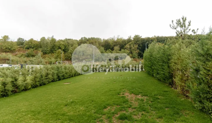 Casă, Botanica, PĂȘUNILOR