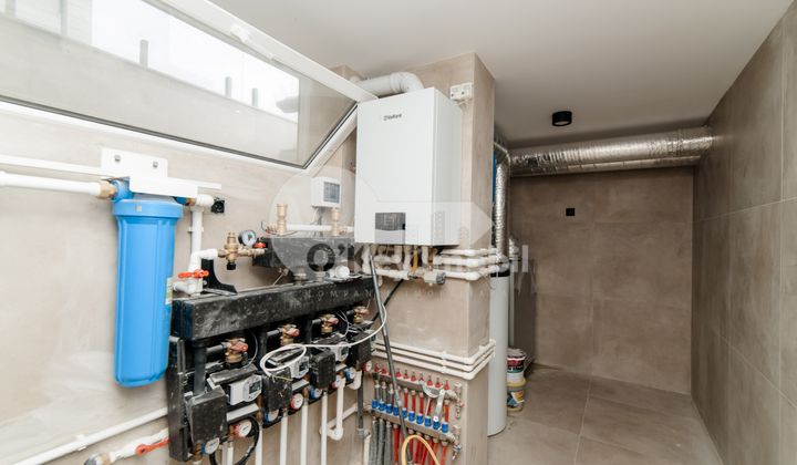 Casă, Botanica, PĂȘUNILOR